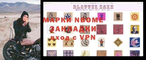 стаф Алзамай
