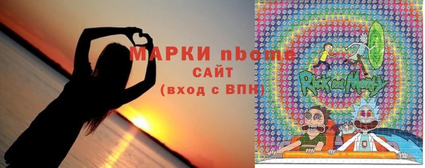 стаф Алзамай