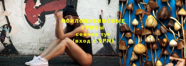 ГАЛЛЮЦИНОГЕННЫЕ ГРИБЫ Алексин