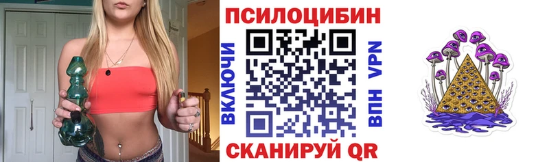 omg рабочий сайт  Приозерск  Псилоцибиновые грибы Psilocybine cubensis 
